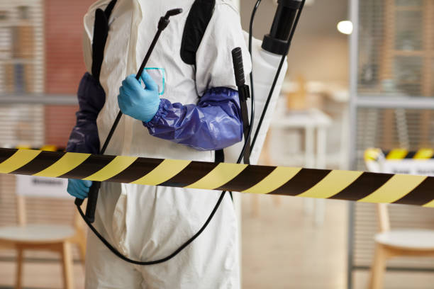 Professional Blood Cleanup technician working in Briggsdale, CO